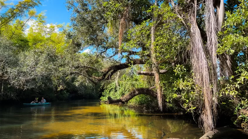 Want to go for a swim or cool off? We encourage our guests to jump in when the water is shallow and clear enough.